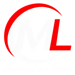 M L Enterprises LLP